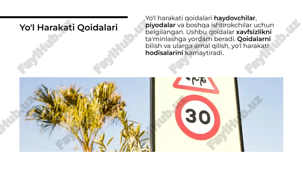 yo'l harakati xavfsizligi sohasidagi asosiy huquqiy normalar - Page 3