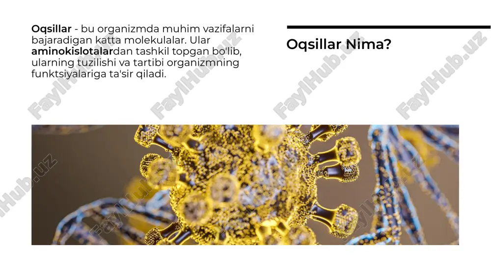 oqsillar va aminokislotalar - Page 3