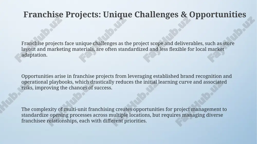 franchizing and project management presentation - Page 3