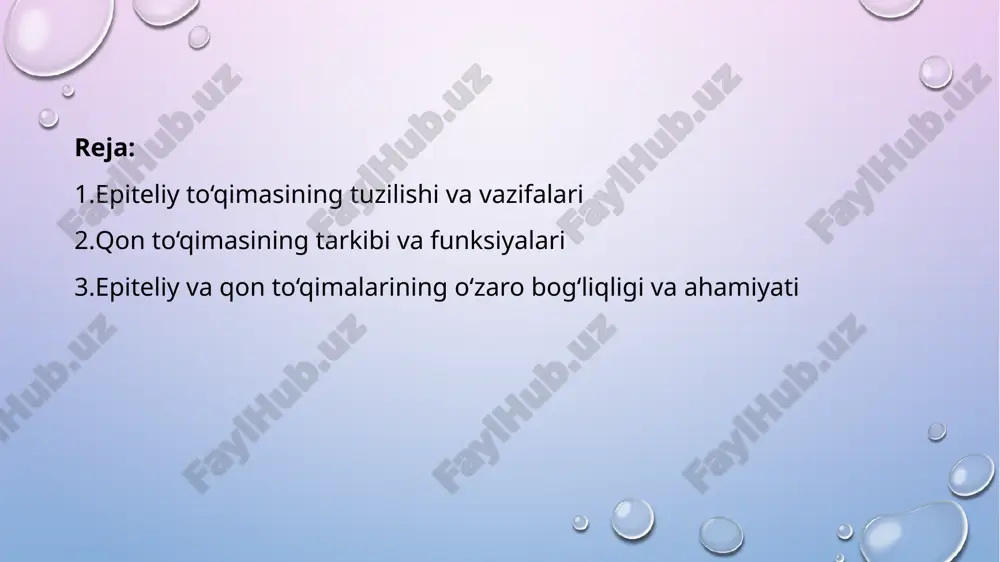 rtqali hayvonlarning eng muhim rivojlanish jarayonlaridan biridir. 2. mezenxima hosil bo‘lishi va biriktiruvchi to‘qimalar shakllanishi: mezodermadan skelet, mushak, qon tomirlari va yurak tizimlari shakllanadi. mezodermaning segmentlari — somitlar — orqa skelet, mushaklar va dermani hosil qiladi. 3. endodermadan organlar hosil bo‘lishi: endodermadan ovqat hazm qilish, nafas olish tizimining ichki qavati va bezlar rivojlanadi. masalan, jigar, oshqozon osti bezi, o‘pka epiteliyasi endodermadan kelib chiqadi. 4. organlarning o‘z shaklini topish (morfogenez): har bir organ o‘z shaklini, o‘lchamini va joylashuvini aniqlaydi. bu bosqichda hujayralarning o‘sishi, differensiallanishi va migratsiyasi muhim rol o‘ynaydi. organogenez jarayonining ahamiyati va natijalari organogenez organizmning morfologik va funksional tuzilishini shakllantiruvchi jarayondir. ahamiyati: har bir organ o‘z vazifasini bajarishga tayyor bo‘ladi. organlar o‘zaro muvofiqlashadi, tizimli ishlashni boshlaydi. tirik organizmning keyingi postembrional (tug‘ilgandan keyingi) rivojlanishi uchun zamin yaratiladi. natijada: to‘liq shakllangan embrion paydo bo‘ladi. umurtqali hayvonlarda yurak urishi, qon aylanishi, nerv impulslari hosil bo‘lishi, nafas olish harakatlari shakllana boshlaydi. reja: embrion induksiyasi …