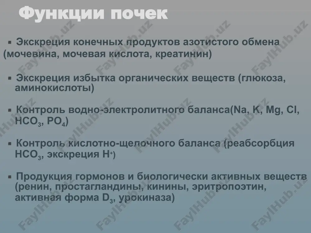 e) -napolnenniy mochevoy puzir auskultatsiya (sistolicheskiy shum pri stenoze pochechnix arteriy) facies nephritica (ogn) oteki pri ogn oteki pri nefroticheskom sindrome oteki pri nefroticheskom sindrome paranefralniy abstsess palpatsiya pravoy pochki palpatsiya levoy pochki simptom pokolachivaniya auskultatsiya pochechnix arteriy laboratornie metodi obsledovaniya issledovanie mochi obshiy an. mochi an. mochi po nechiporenko (v 1ml er 105 koe/ml) sutochnaya proteinuriya (n 300 al/kr mochi (mg/ g) 300 al/kr mochi (mg/mmol) 30 obshiy belok v moche seb (mg/cut) 500 ob/kr mochi (mg/g) 500 ob/kr mochi (mg/mmol) 50 sea - sutochnaya ekskretsii albumina, al/kr – otnoshenie albumin/kreatinin, seb- sutochnaya ekskretsiya belka, ob/kr – otnoshenie obshiy belok/kreatinin natsionalnie rekomendatsii. xronicheskaya bolezn pochek: osnovnie polojeniya, opredelenie, diagnostika, skrining, podxodi k profilaktike i lecheniyu. 2011; http://journal.nephrolog.ru/ckd/ gematuriya – bolee 1000 eritrotsitov v 1 ml mochi gematuriya kak rezultat parenximatoznogo zabolevaniya pochek prodoljitelnaya bezboleznennaya mikrogematuriya (inogda makrogematuriya) dvuxstoronnyaya eritrotsitarnie tsilindri v moche, dismorfnie er gematuriya pri zabolevanii mochevivodyashix putey …