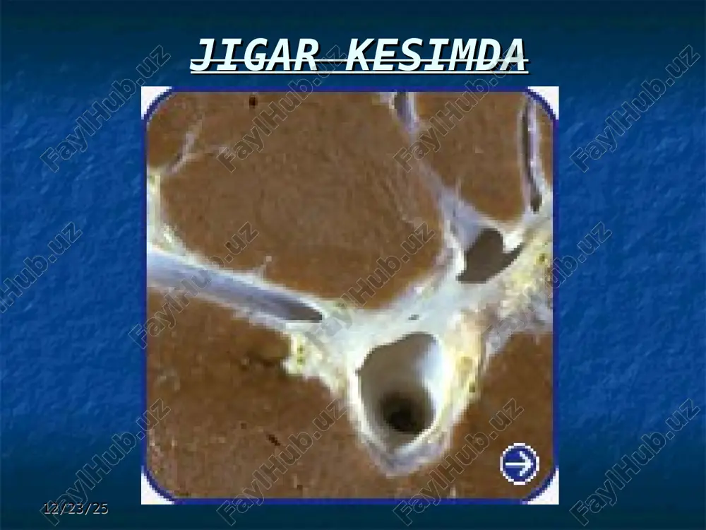 jigar sirrozi - Page 3