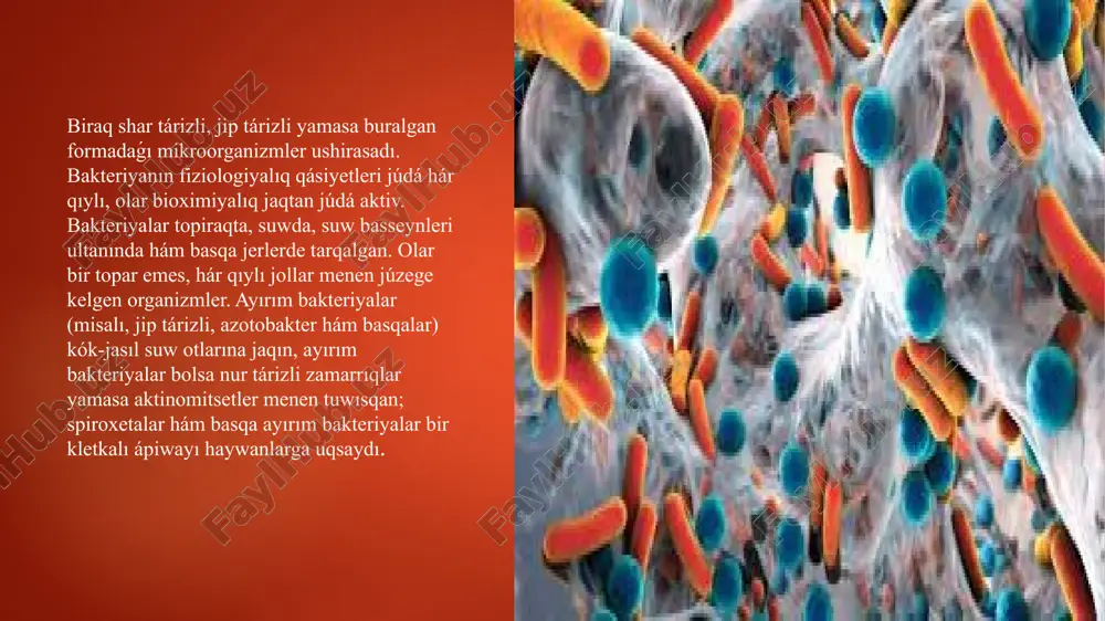 teriyalar organik moddalarni, baʼzilari anorganik moddalarni oksidlash yoʻli bilan energiya oladi. faqat kislorodli muhitda yashay oladigan bakteriyalar aeroblar, kislorodsiz muhitda yashaydigan bakteriyalar anaeroblar deyiladi. aerob nafas olish vaqtida organik birikmalar oksidlanib, karbonat angidrid ajralib chiqadi. anaerob sharoitda organik birikmalarning parchalanishi va bunda energiya ajralib chiqishi bijgʻish deyiladi. paydalang`an a`debiyatlar i.www.arxib uz ii.www.wikipediya uz iii.www.fayllar org image6.png image7.png image8.png image9.png image10.png image11.png image2.png image3.png image4.png image5.png /docprops/thumbnail.jpeg