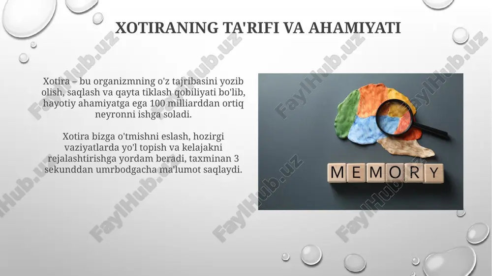 saqlash va olish. har bir bosqich samarador xotira funktsiyasi uchun muhim ahamiyatga ega bo'lib, 7/24 amalga oshiriladi. xotirani qayta tiklash: esga olish jarayoni xotirani qayta tiklashning birinchi bosqichi, kodlash, yangi ma'lumotlarni miyada saqlash uchun formatlashni o'z ichiga oladi. bu jarayon miyaning turli sohalarida sodir bo'ladi. saqlash, xotirani qayta tiklashning ikkinchi qismi, kodlangan ma'lumotlarni miyada vaqt o'tishi bilan saqlashni nazarda tutadi. uzoq muddatli xotira uchun hipokamp katta rol o'ynaydi. unutish: sabablari va turlari unutishning sabablari orasida ma'lumotlarni kodlashdagi muammolar bor, masalan, diqqatning yetishmasligi, bu esa xotira izlarining zaiflashishiga olib kelishi mumkin. 75 foiz unutish holatlari shu bilan bog'liq. interferensiya nazariyasiga ko'ra, 2 xil turdagi unutish mavjud: proaktiv interferensiya, eski xotiralar yangi ma'lumotlarni eslashga xalaqit beradi, va retroaktiv interferensiya, bunda yangi ma'lumotlar eskilarni yodda saqlashga to'sqinlik qiladi. xotira buzilishlari: amnesiya va boshqalar anterograd amneziya yangi xotiralarni shakllantirish qobiliyatining yo'qolishidir, eski xotiralar nisbatan saqlanib qoladi, masalan, bemor 20 yillik voqeani eslaydi, lekin 2 …