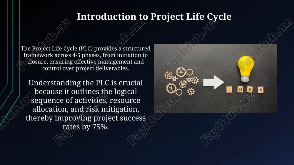 project life cycle - Page 3