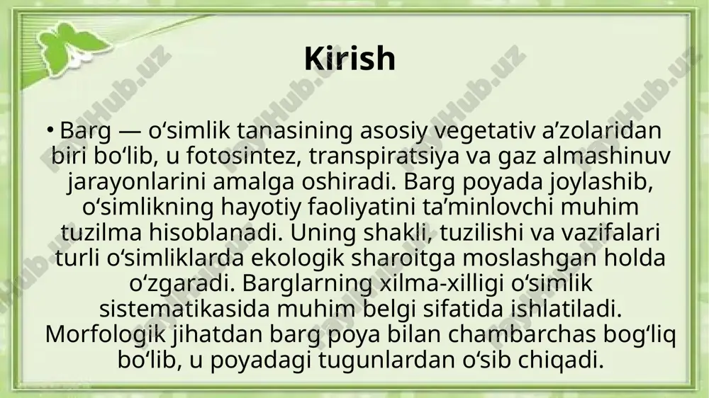 liga kirib, suv yo‘qotilishini kamaytiradi barglarning asosiy vazifalari barglarning eng muhim vazifalari — fotosintez, transpiratsiya, gaz almashinuvi va modda almashinuvidir. barg plastinkasidagi xloroplastlar yordamida quyosh nuri energiyasi kimyoviy energiyaga aylanadi. barg orqali suv bug‘lanadi va kislorod chiqariladi. shuningdek, barglar o‘simlik tanasida haroratni tartibga solishda ham muhim ahamiyatga ega. fotosintez jarayoni fotosintez — bu barglarda kechadigan eng asosiy biologik jarayon. unda karbonat angidrid va suv quyosh nuri ta’sirida organik moddalarga aylanadi. jarayon xlorofill pigmenti ishtirokida sodir bo‘ladi. hosil bo‘lgan glyukoza o‘simlik uchun energiya manbai bo‘lib xizmat qiladi. shuningdek, fotosintez jarayonida atmosfera uchun zarur bo‘lgan kislorod ajraladi. transpiratsiya jarayoni transpiratsiya — bu barglar orqali suvning bug‘lanish jarayonidir. bu jarayon o‘simlikdagi suv aylanishini ta’minlaydi va haroratni me’yorda saqlaydi. transpiratsiya asosan barg epidermisidagi stomalar orqali amalga oshadi. har bir stoma ochilib-yopilib, suv bug‘lanish miqdorini boshqaradi. namlik kam joylarda yashovchi o‘simliklarda transpiratsiya darajasi past bo‘ladi. gaz almashinuvi barglar orqali o‘simliklar karbonat angidridni yutib, kislorodni chiqaradi. …