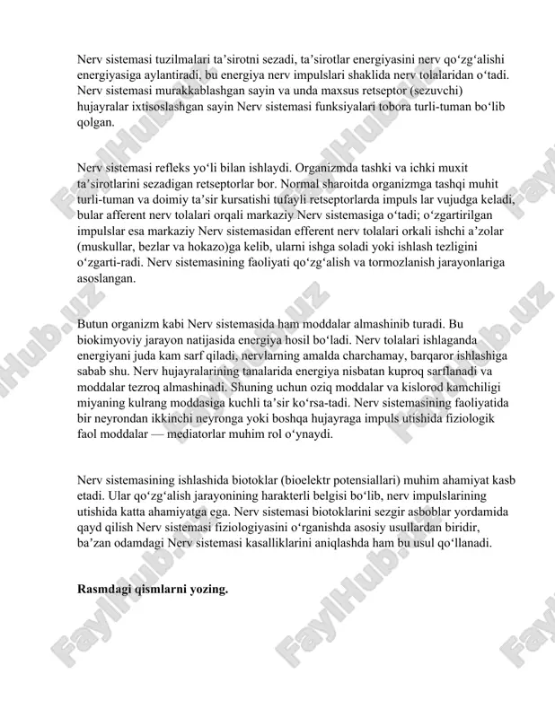 ar faoliyatini muvofiqlashtiradi c) qon aylanishini tezlashtiradi d) energiya ishlab chiqaradi 2. inson nerv sistemasi nechta asosiy qismdan iborat? a) ikkita – markaziy va periferik b) uchtasi – bosh, orqa va yurak c) to‘rttasi – bosh, orqa, muskullar va qon tomirlar d) bittasi – faqat bosh miya 3. markaziy nerv sistemasiga nimalar kiradi? a) bosh miya va orqa miya b) yurak va o‘pka c) mushaklar va suyaklar d) nerv tolalari va teri 4. periferik nerv sistemasi qanday vazifani bajaradi? a) axborotni uzatadi va markaziy tizimga bog‘laydi b) qon bosimini o‘lchaydi c) kislorod ishlab chiqaradi d) modda almashinuvini sekinlashtiradi 5. nerv hujayrasi qanday nomlanadi? a) eritrosit b) neyron c) limfotsit d) miyosit image1.png image2.png image3.jpeg
