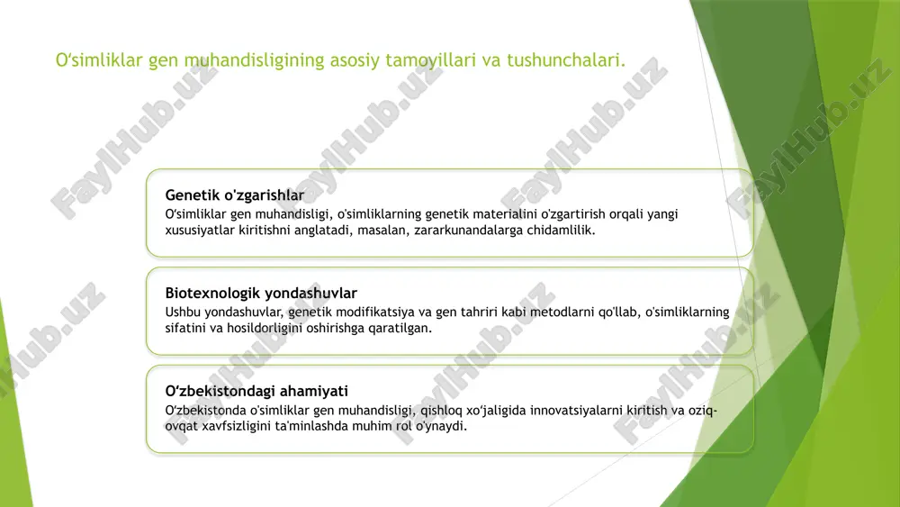 rni o'stirish gen o'zgartirilgan hujayralar o'stirilib, transgen o'simliklar hosil qilinadi. sinovlar transgen o'simliklar qishloq xo'jaligida sinab ko'riladi. 8 transgen o'simliklarning afzalliklari hosildorlik transgen o'simliklar hosildorligi yuqori bo'ladi. kasalliklarga chidamlilik ba'zi transgen o'simliklar kasalliklarga chidamli bo'ladi. zararkunandalarga chidamlilik transgen o'simliklar zararkunandalardan himoyalangan bo'lishi mumkin. oziqa tarkibi ba'zi transgen o'simliklarning oziqa tarkibi yaxshilanadi. 9 genetik modifikatsiya: oʻsimliklarni yaxshilashning yangi usullari. 1 genetik modifikatsiya genetik modifikatsiya o'simliklarning dnk'sini o'zgartirish orqali ularning xususiyatlarini yaxshilash uchun foydalaniladigan zamonaviy biotexnologiyadir. 2 yangi usullar crispr texnologiyasi va gen tahrirlash usullari o'simliklarda an'anaviy genetik modifikatsiyalarga nisbatan ko'proq aniq va samarali o'zgarishlar yaratadi. 3 o'zbekiston misoli o'zbekistonda genetik modifikatsiya yordamida sholi va bug'doy kabi asosiy ekinlarni yuqori hosil bilan yetishtirish tajribalari muvaffaqiyat bilan olib borilmoqda. oʻsimliklar gen muhandisligida innovatsiyalar va ularning kelajagi. 1 innovatsion texnologiyalar oʻsimliklar gen muhandisligida crispr kabi gen tahrirlash texnologiyalari, genlarning aniq oʻzgarishlarini amalga oshirishga imkon beradi, bu esa sifatni oshiradi. 2 barqaror qishloq xoʻjaligi innovatsiyalar …