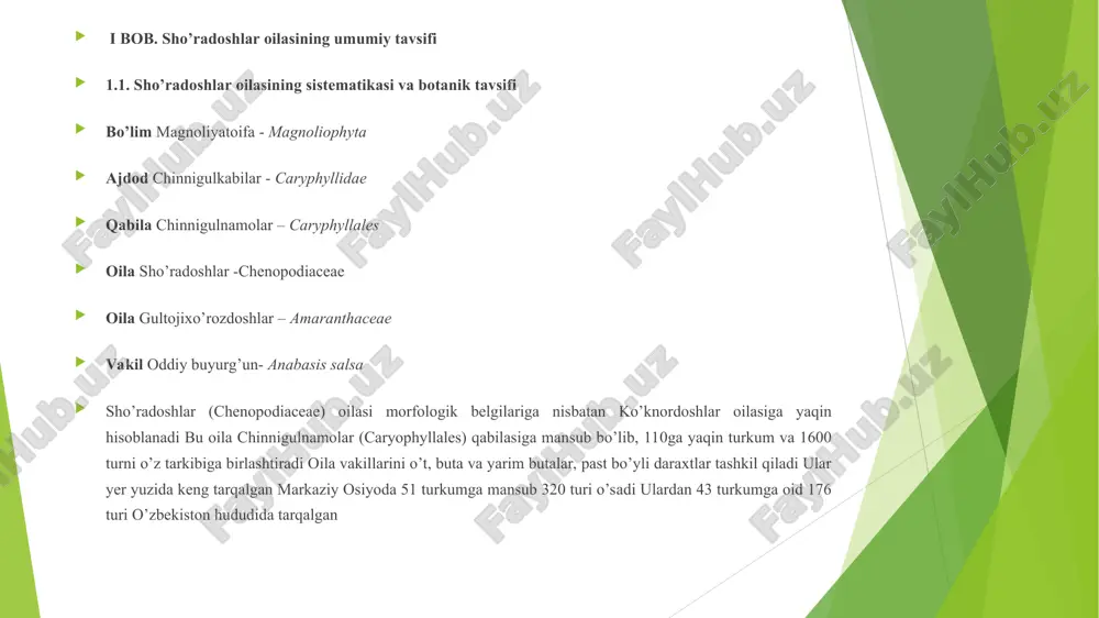 gullarda toʻplangan gulining eng yuqori qismi oʻsimtasimon, meva berishda deyarli avvalgi holatidan oʻzgarmaydi mevasi katta tuxumsimon, oʻzida koʻp miqdorda suv toʻplagan, qizil rangda boʻladi tabiatda buyurgʻun turkum vakillari yevroosiyo – rossiyaning yevropadagi qismi va janubi-sharqiy hududlari, ozarbayjonning sharqiy hududlari, eronning shimoliy hududlari, kavkaz, moʻgʻuliston, qozogʻiston, sibir, shinjon va markaziy osiyoni qamrab olgan dengiz sathida 440 metrdan 1900 metrgacha balandlikda bo’lgan joylarda oʻsadi asosan gobi choʻllarida uchratishimiz mumkin haligacha sunʼiy ravishda yetishtirlmagan va xonakilashtirilmagan 1.7.-rasm. anabasis ebracteolata yarim choʻllarda katta maydonlarni egallab, tuyalar uchun katta ozuqaviy ahamiyatga ega boʻlib, ular uchun kuz va qishda yaxshi semirtiruvchi ozuqa, bahor va yozda kamroq isteʼmol qilinadi otlar, qoʻylar va echkilar uchun zararli hisoblanadi, chunki mahalliy statistikaga koʻra, biyurgʻunni isteʼmol qilgan yuqorida koʻrsatilgan hayvonlarning koʻpchiligida junlarning toʻkilishiga sabab boʻlgan asosan, taqir, shoʻr va shoʻrxok choʻllarda oʻsadi, yilning iyul oylarida gullaydi, urugʻi sentyabrda pishib yetiladi biyurgʻun tarkibida asosan 1,22% foiz miqdorida alkaloid, 7—9% foiz miqdorida oksalat …