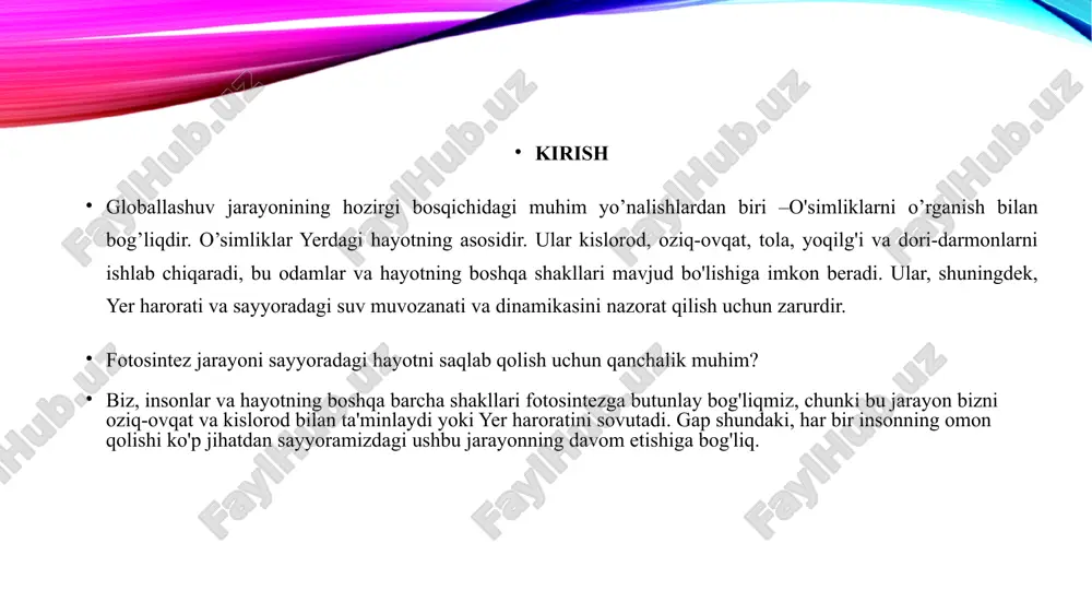 llalilarga farqli ravishda buta va daraxt shakldagi turlari deyarli uchramaydi. ularning tashqi ko‘rinishi va ichki tuzilishi ham ikki pallalilarga keskin farq qiladi. ayrim, bir pallali o‘simliklar uchun xos bo‘lgan ikkilamchi rivojlanish ikki pallali o‘simliklar singari kambiy hisobiga emas balki, poyaning periferik qismida vujudga keladigan meristematik to‘qima hisobiga vujudga keladigan meristematik to‘qima hisobiga sodir bo‘ladi. meristema yangi o‘tkazuvchi nay tolalarini hosil qiladi va asosiy parenhima shakllanadi. ii.bob. o’zbekistondachuchmomakabilar ajdodi. 2.1. o’zbekistonda chuchmomadoshlar oilasi chuchmomadoshlar oilasi – ixioliriaceae. bu oila vakillari ko’p yillik piyozli o’t o’simliklardan iborat. poyasi serbarg. gullari binafsha rangli, voronkasimon. shingilsimon to’pgul hosil qiladi. gulqo’rg’onbargchalari 6 ta, changchisi 6 ta. tugunchasi uch uyali, urug’kurtaklari ko’p. bu oila bir turkum - ixiolirion va 4-5 turdan iborat. ular falastin va eron turon hududlarida tarqalgan. o’rta osiyoda ham bir turkum (ixiolirion) va 3 turi uchraydi, o’zbekistonda esa shu turkumdan ikki turi o’sadi. tatar chuchmomasi - ixiolirion tataricum ko’p yillik o’t o’simlik poyasi …