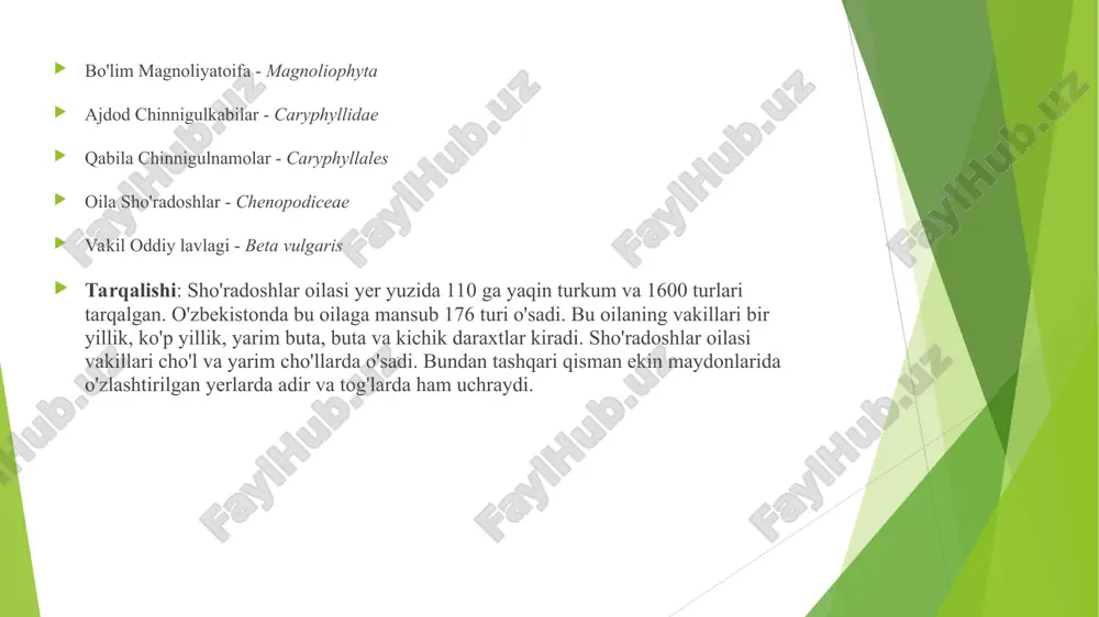 tda rast bulgan beta rerennis nal turi mesorotamiua dehqonchiligida eramizdan oldingi uch ming uillikda ekilib, istemolga kirib borgan. o’rta dengizi bo’uida joulashgan mamlakatlarda uetishtirilgan lavlagilar uzining nordon ta’mli bargi va ildizmevasi bilan qadimgi tabiblar eh’tiborini tortgan. keuinchalik lavlagi shifobaxsh o’simlik sifatida ishlatila boshlangan. shifokor eudemos (1566) mahlumotiga ko’ra, eramizdan oldingi iv asrda antiq gretsiuada uovvoui lavlagilar to’g’risida ilk tushunchalar raudo bo’la boshlagan. keuinchalik uovvoui lavlagini qadimgi greklar va rimliklar «qora lavlagi» deb atashgan. 1.3. qand lavlagining tuzilishi, kimuoviu tarkibi va texnologik sifatlari. lavlagi ildizda oziqa modda to’rlaudigan o’simlik hisoblanadi. o’zbekistonda qand lavlagi, xashaki lavlagi va osh lavlagi uetishtiriladi. bu o’simliklar tarkibida uengil hazm bo’ladigan oqsil, uglevodlar va vitaminlar bor ildizmevalilar qand ishlab chiqarishda va chorva mollari uchun ozuqa sifatida katta ahamiuatga ega. ildizmevalilarni barglari ham chorva mollari uchun muhim ahamiuatga ega, ularni barglari to’uimli bo’lib bargida vitaminlar ko’r bo’ladi ildizmevalilar ichida qand lavlagi sanoatda shakar olish maqsadida eng muhim texnik …