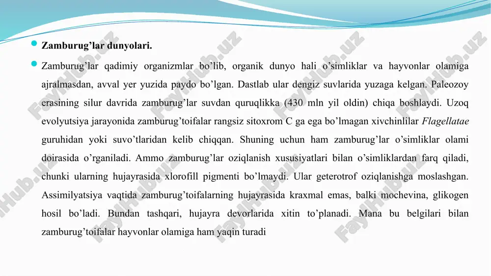 k taraqqiy etgan xaltachali va bazidiyali zamburug’larning mitseliysi ko’p hujayrali to’siqlar bilan ajraladi zamburug’larning oziqlanishi va ko’payishi. oziqlanishi. fitopatogen zamburug‘larning oziqlanishi, ularning parazitik ixtisoslashishi darajasiga bog‘liq holda, o‘simlikning tirik yoki o‘lik hujayralari hisobiga amalga oshadi. saprotrof tarzda yashash qobiliyatini saqlagan fakultativ parazitlar muayyan vaqt davomida ham o‘simliklar, ham hayvonlarning o‘lik organik moddalari hisobiga yashashi mumkin. hujayralari ichidagi va tashqarisidagi osmotik bosim har xil bo‘lishi yordamida zamburug‘lar ozuqa moddalarni suvli eritma shaklida butun yuzasi bilan so‘rib, oziqlanadi. ular o‘simlik to‘qimalaridagi murakkab organik birikmalarni (oqsil, karbonsuv va h.) o‘zlarining (ekzo) ferment sistemalari yordamida oddiyroq moddalarga aylantiradi. so‘ngra boshqa (endo) fermentlar ushbu so‘rilgan moddalardan zamburug‘ tanasi uchun lozim bo‘lgan yuqori molekular birikmalar sintezini kataliz qiladi. mitseliy substratga o’rnashib, undagi ozuqa moddalarni so’rib (shimib) oladi. zamburug’larda plastidalar bolmaganligi sababli ular geterotrof oziqlanadi. ko’pchilik zamburug’lar saprofit holda o’simlik qoldiqlari bilan oziqlanadi. ular fermentlar ta‘sirida sellyulozali hujayra devori va ligninni parchalaydi. bir muncha kamroq zamburug’lar hayvon …