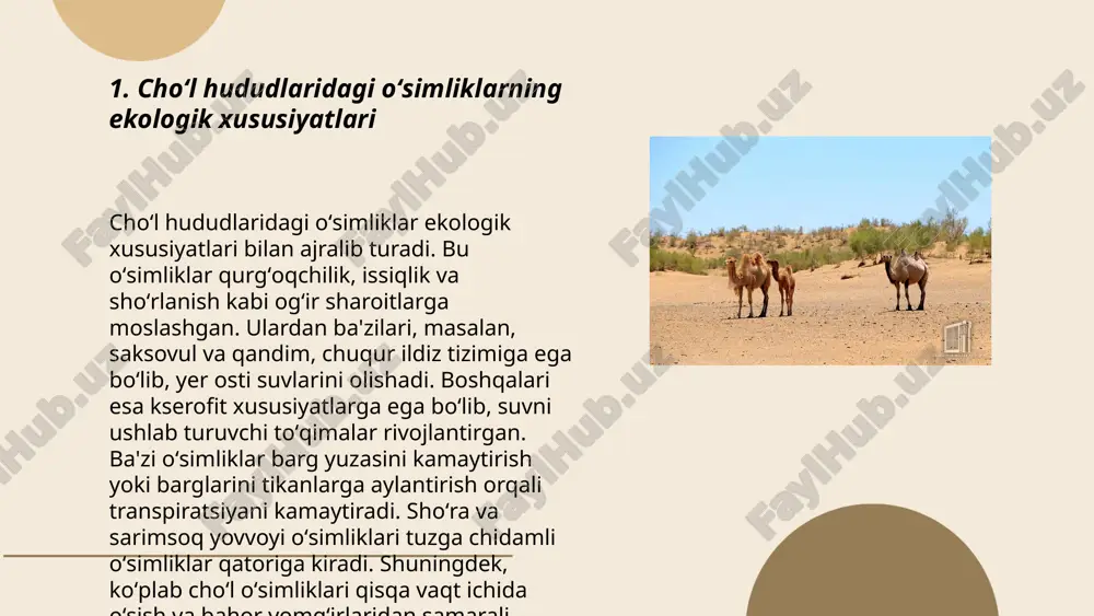 alar olinadi, bu esa salomatlik uchun foydalidir. qovoq, jiyda kabi oʻsimliklar minerallar va vitaminlar boyitish xususiyatlari bilan ajralib turadi. kamfor oʻti ko‘pincha isitmani pasaytirish uchun ishlatiladi. oqquray esa yalligʻlanishga qarshi taʼsir ko‘rsatadi. shu bilan birga, 130 turdagi efir moylari olinadigan dorivor oʻsimliklar mavjud. choʻl hududlarida 600 dan ortiq oʻsimlik turlari aniqlangan, ulardan 100 tasi dorivor hisoblanadi. bu oʻsimliklar xalq tabobatida va farmatsevtika sanoatida keng qoʻllaniladi. ... t.me/slaydai_bot 7. choʻl oʻsimliklarining tuproq hosil boʻlishidagi roli choʻl oʻsimliklari tuproq hosil boʻlishida muhim rol oʻynaydi. ular tuproqdagi organik moddalarning asosiy manbai boʻlib, oʻsimlik qoldiqlari chirish jarayonida humus shakllanishiga yordam beradi. choʻl sharoitida sabrli oʻsimliklar ildizlari tuproqni ushlab turadi va eroziya xavfini kamaytiradi. ular tuproqning namlikni saqlash qobiliyatini oshiradi. choʻl oʻsimliklarining fotosintez jarayonida zararli uglerod dioksidini yutib olish orqali atmosfera havosini tozalash qobiliyatiga ega. yosh oʻsimliklar har 1 kvadrat metr yilda taxminan 200-300 grammgacha organik modda hosil qilishi mumkin. bu oʻsimliklarning roli ekologik barqarorlikni …