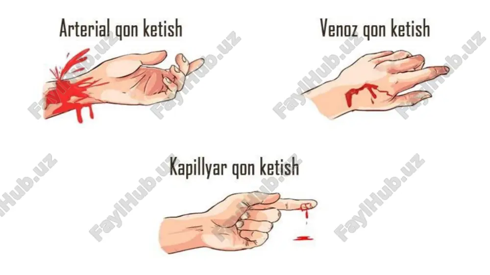 topografik anatomya va operativ xirurgiya - Page 3