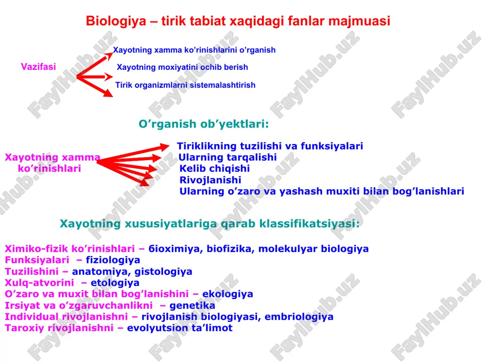 alar mitoxondriya, lizosoma, plastida, endoplazmatik to’r, goldji apparati xujayra markazi, ribosoma, mikrofibrilla, mikronaycha mikrofibrillalar, mikronaychalar tiriklikning fundamental xususiyatlari: 1. o’z-o’zini yangilash 2. o’z-o’zini yaratish 3. o’z-o’zini boshqarish moddalar, energiya, axborot oqimi tufayli amalga oshadi tiriklikning ajralmas belgilari: 1. moddalar va energiya almashinuvi 2. irsiyat va o’zgaruvchanlik 3. ta’sirlanuvchan- lik (taksis, tropizm, nastiya, reflekslar) 4. gomeostaz (ichki muxit doimiyligini saqlash) 5. individual va tarixiy rivojlanish (ontogenez, filogenez) 6. diskretlik va yaxlitlik biologiyaning shifokorlar tayyorlashda tutgan o’rni biologiya-tibbiyot poydevori. «nazariya jihatidan qaraganimizda tibbiyot – avvalombor umumiy biologiyadir» (i.v.davidovskiy) organoidlar yadro(nukleus) strukturasi funksiyalari 1. interfaza xromosomalari (xromatin)) 2. yadro shirasi (karioplazma) 3. yadro qobig’i (kariolemma) 4. yadrocha (nukleola)) 1.. irsiy moddani saqlash, ko’paytirish, yangi xujayralarga o’tkazish transkripsiya-axborotni dnkdan rnkga ko’chirish irnk sitoplazmaga o’tkazish karioplazma tiniq, suyuq qism fibrillyar oqsillar (skelet-tayanch) regulyator oqsillar replikatsiyada qatnashadi transkripsiyada qatnashadi moddalarni tashishda qatnashadi yadrocha strukturasi funksiyasi odamda 5juft xromosomaning yadrocha xosilqiluvchi qismlari yordamida shakllanadi och bo’yaluvchi dnk …