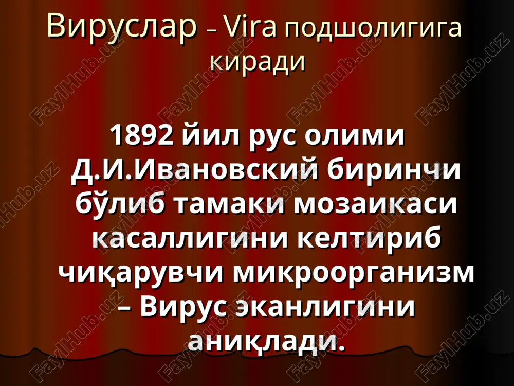 n aralashib ketishi mumkin hayvondan olingan material qayta hujayra kult. yuqtiriladi, bu esa vaqtni uzaytiradi tovuq embrionining: amnion bo'shlig'i, allontois bo'shlig'i, sariqlik xaltasi, xorionallontois qobig'iga yuqtiriladi 8-12 kunlik tovuq embrioni tovuq embrionida o'stirish afzalligi: tashqi ta'sirlarga chidamli arzon usul virus va mikoplazmalar bilan zararlanmagan kamchiligi: ko'p miqdorda oqsil bo'lib, viruslarni tozalab olish qiyinroq embrionni ochmay turib, baholash qiyin hujayra kulturasi turlari: birlamchi undirilmaydigan yarim undiriladigan undiriladigan birlamchi undirilmaydigan hujayra kulturasini tayyorlash: epitelial va biriktiruvchi to'qima tripsin ta'sirida hujayralarga ajratiladi ajralgan hujayralarning tripsini yuvilib, 199-muhitga solinadi bu hujayralar suspenziyada cho'kkanida probirka yoki flakon devorida bir qavat (monosloy) bo'lib joylashadi yarim undiriladigan hujayra kulturasi: diploid hujayralardan bir qavatli hujayra kulturasiga o'xshab tayyorlanadi 1 yilgacha (50 ta passajgacha) yashaydi undiriladigan hujayra kulturasi: bir qavatli hujayra kulturalari o'sma hujayralari, odam amnionining normal hujayralari va maymun buyragi hujayralaridan tayyorlanadi ular uzoq muddat in vitro sharoitida ko'payish xususiyatiga ega viruslarning hujayraga patogen ta'siri (hpt): hujayra kulturasi …