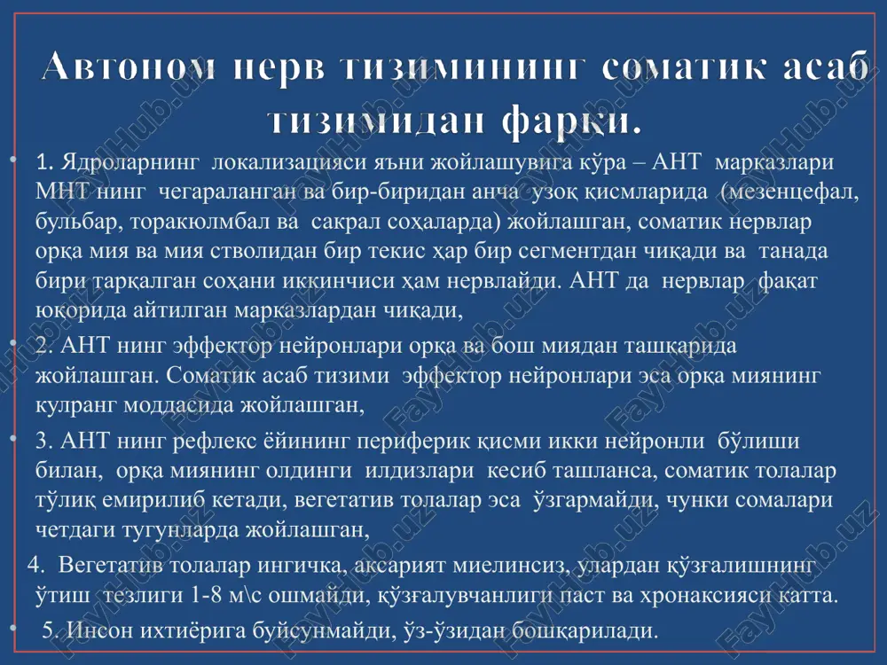etseptorlarga ta'sir etadi (+); postganglionar parasimpatik nerv oxirlaridan chiqib – m-xolinoretseptorlar orqali (+/-); ter bezlarini innervatsiya qiluvchi postganglionar simpatik tolalar va vazodilatator skelet mushaklarini innervatsiya qiluvchi tolalardan chiquvchi– m-xolinoretseptori (+). ant simpatik qismining adrenoretseptorlari: α-adrenoretseptorlar – teri va ichki a'zolar qon- tomirlarini toraytiradi. β-adrenoretseptorlar – yurak chastotasi va kuchini oshiradi (β1), bronxiolalar va tojsimon arteriyalarni kengaytiradi (β2). markaziy qismi– orqa miya kulrang moddasining yon shoxlarida (s8, i–ii ko'krak segmentidan ii–iii bel segmentigacha bo'lgan soxada). joylashgan yadrolar periferik qism– juft paravertebral tugunlar (simpatik stvolda) va perivertebral tugunlar (quyosh chigali, yuqori va pastki ichak tutqichi tugunlari). markaziy qism strukturalari : o'rta miya (yakubovich yadrosi (edingera-vestfal), ko'zni harakatlantiruvchi nerv (iii-juft) uzunchoq miya (uch juft yadrosi bo'lib, yuz (vii), til-xalqum, (ix) adashgan (x) nerv tolalari tarkibida chiqadi); orqa miya (i-iii, dumg'aza sigmentidan, chanoq nervi tarkibida chiqadi). periferik tugunlar ichki a'zolar yaqinida yoki ichida joylashgan. o'zining ritmik motorikasiga ega bo'lgan ichi kovak a'zolar devorida joylashgan …