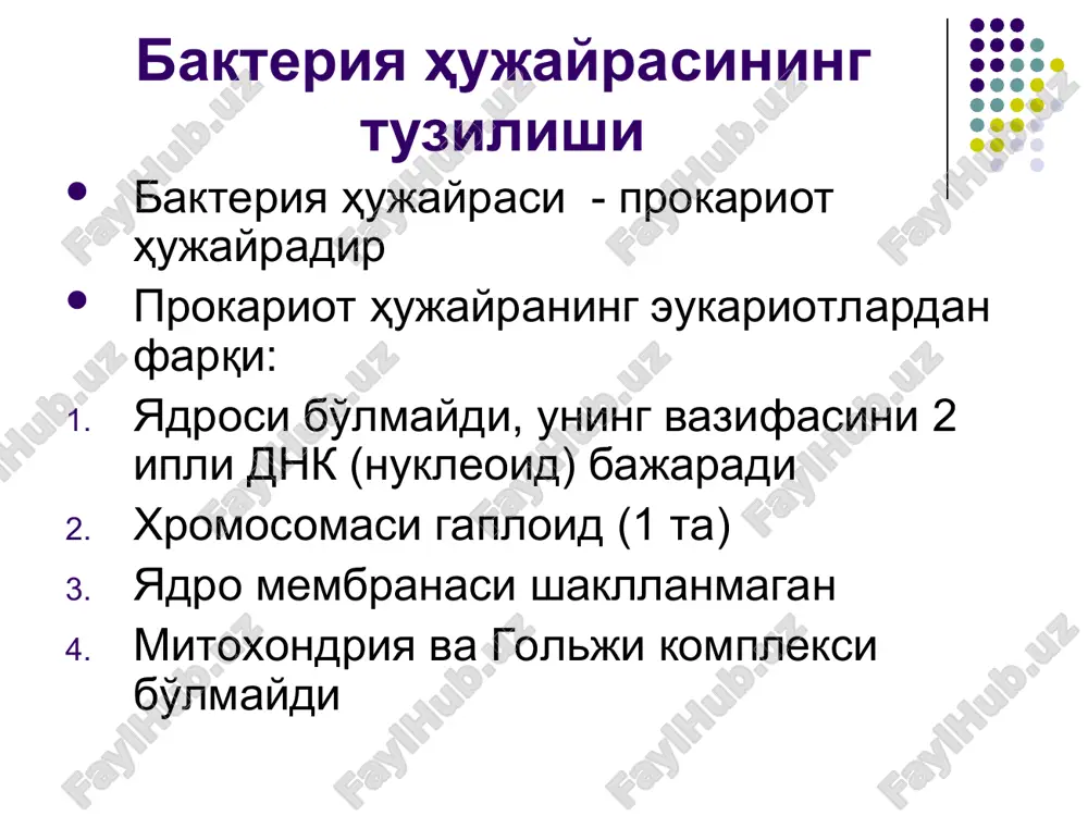 gram (-), sporasiz, xivchinsiz uning genomi esherixiylarga nisbatan 4 marotaba kichik maxsus sun'iy oziq muhitlarda o'sadi (ed – 1) koloniyasi maxsus ko'rinishga ega (yaichn.glaz) odamda: nafas traktini – m.pneumonia, siydik-tanosil a'zolarni – m.hominis zararlaydi rikketsiyalar: bakteriyalar va viruslar orasidagi oraliq shakl hisoblanadi. amerikalik olim rhickets 1910 y. morfologiyasi: tayoqchasimon, ipsimon spora, kapsulasi yo'q, harakatsiz, gram (-) tsitoplazmasida ribosoma, vakuolalari bor bo'linish yo'li bilan ko'payadi rikketsiyalar: viruslarga o'xshab tovuq embrionida o'stiriladi obligat huj./ichi parazitlari transmissiv infektsiyalarni k/ch (bit, kana, burga) romanovskiy – gimza, zdrodovskiy usullarida bo'yaladi. xlamidiyalar: kokksimon bakteriya. obligat hujayra ichi paraziti; odam uchun patogenlari keltirib chiqaradigan kasalliklar: chl.trachomatis –traxomani k/ch (ko'z kas-gi) chl.limfogranul (venereum) – venerik kasallik chl.psittaci – o'pkaning yallig'lanishi (ornis - qush, psittaci – kaptar ) tovuq embrioni, hujayra kulturasida o'sadi. oxirgi yillarda ular artroz va ateroskleroz sababchisi deb hisoblanmoqda xlamidiyalar rivoj. tsikli (40 soat): aktinomitsetlar: ular zamburug'lar va bakteriyalar orasidagi oraliq forma hisoblanadi. morfologiyasi – shoxlangan …