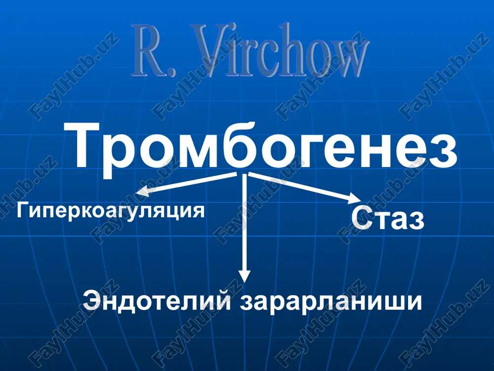 r va β-blokatorlar qabul qilish yumshoq shish limfostaz limfostaz o'tkir arterial etishmovchilik anaerob flegmona - tez boshlanadi - og'ir intoksikatsiya - to'qimalarda gaz bo'lishi - oyoqlarda tez tarqaluvchi shish - bakteriologik tekshiruv ma'lumoti ultratovushli angioskanogramma obv flotirlovchi trombi bpv flotirlovchi trombi flotirlovchi tromb nookklyuzion devoriy tromboz kontrastli venografiya (“oltin standart" ) xisoblanadi kavagramma okklyuziyalovchi tromboz a v s retrograd flebogramma o'ng tashqi yonbosh venasi devoriy trombi. flotirlovchi tromb flotirlovchi tromb pastki kavak umumiy son pbv va taqim osti venasi kompyuter tomografiyasi va flebografiya birgalikda qo'llanishi, . yukori kavak vena tizimi anatomiyasi v. ulnaris v. radialis v. brachialis v. axillaris v. subclavia v. jugularis interna v. brachiocephalis dextra v. cava superior v. hemy- azygos aorta yoyi yuqori kavak vena qizilo'ngach levoe legkoe traxeya to'sh pravoe legkoe ko'ndalang kesma. pastdan ko'rinish vena cava superior vena subclavia pedjet-shretter (paget-schroetter) sindromi umrov osti venasi trombozi erkaklar kuprok kasallanadi (4:1) kuprok 20-40 yoshli jismonan bakuvvat …