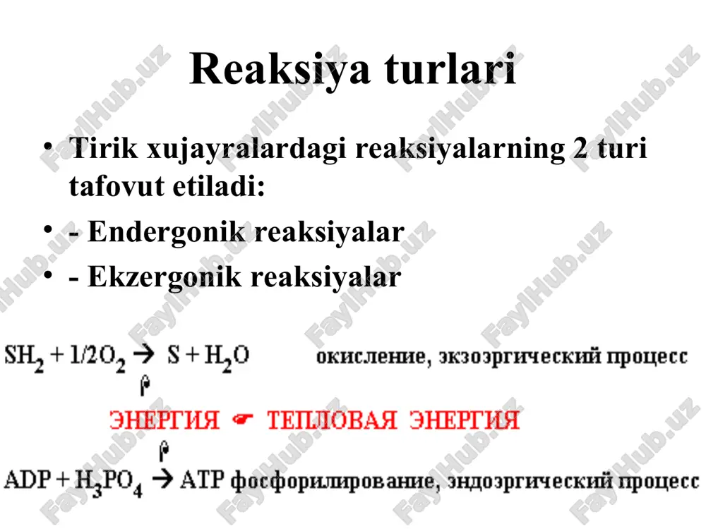 burgning elektrolitik nazariyasi. bu kislorod molekulasini oksidlangan molekula yordamida faollanishidir. varburgning fikricha oksidlovchi modda bolib gemin fermentlari molekulasi tarkibiga kiruvchi feq3 atomi xisoblanadi. bu nazariyaga kora oksidlanish-qaytarilish jarayonlari elektron va protonlarni ajralishi va birikishi natijasida sodir boladi va oxirida aktivlangan kislorod proton bilan birikib suvni xosil qiladi. 4. biologik oksidlanishning zamonaviy nazariyasi yuqorida qayd etilgan uchchala nazariyalarni oz ichiga oladi va sent-derdvi nazariyasi deyiladi. bu nazariyaga asosan toqimada metabolitni oksidlanishi bir yola proton va elektronlarni ajralishi va ularni kislorod molekulasiga kiritilishi bilan boradi. ammo elektron va protonlar togridan-togri kislorod bilan birikmay, balki spetsifik fermentlar va kofermentlar ishtirokida sodir boladi. biologik oksidlanishda ishtirok etuvchi fermentlar: proton va elektronlarni oksidlanayotgan metabolitdan kislorodga otkazilishi quyidagi 3 gurux fermentlar ishtirokida boladi: 1.piridinga bogliq bolgan degidrogenazalar. bu degidrogenazalarning kofermenti bolib nad va nadf xisoblanadi. 2. flavinga bogliq bolgan degidrogenazalar. prostetik gurux sifatida fad yoki fmn saqlaydi. 3. sitoxromlar. piridinga bog'liq degidrogenazalar kofermenti nad yoki nadf …
