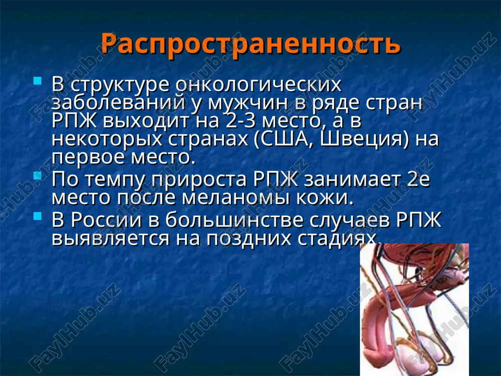 ie neregionarnix limfouzlov m1b- porajenie kostey m1s- drugie lokalizatsii otdalennix metastazov. stepeni zlokachestvennosti po shkale glisona. shkala opisivaet razlichniy xarakter rosta opuxoli (differentsirovka 1-5). summirovanie dvux naibolee rasprostranennix tipov differentsirovki opuxoli daet pokazatel glisona (ot 2 do 10). po klassifikatsii glisona stepen differentsirovki opuxoli razdelyaetsya na pyat gradatsiy: gradatsiya 1: opuxol sostoit iz nebolshix odnorodnix jelez s minimalnimi izmeneniyami yader; gradatsiya 2: opuxol sostoit iz skopleniy jelez, vse eshe razdelennix stromoy, no raspolojennix blije drug k drugu; gradatsiya 3: opuxol sostoit iz jelez razlichnogo razmera i stroeniya i kak pravilo, infiltriruet stromu i okrujayushie tkani; gradatsiya 4: opuxol sostoit iz yavno atipichnix kletok i infiltriruet okrujayushie tkani; gradatsiya 5: opuxol predstavlyaet soboy sloi atipichnix nedifferentsirovannix kletok. diagnostika: skrining raka predstatelnoy jelezi. tsel skrininga – viyavlenie patsientov s rannimi stadiyami raka prostati i otsutstviem klinicheskix proyavleniy, kotorim pokazano radikalnoe lechenie. psa prostat-spetsificheskiy antigen — naibolee tsenniy opuxoleviy marker, issledovanie kotorogo v …
