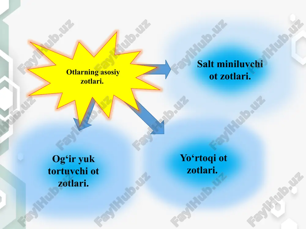 va istagancha pichan bilan oziqlantiriladi. 1.5 – 2 yoshli toylarga esa omixta yem berilmasdan, ular faqat pichan bilan boqiladi. shuni aytish kerakki - zotning shakllanishida yosh otlarni birmuncha qiyin sharoitlarda tarbiyalanishi, ularni tizimli ravishda mashq qildirish va sinash katta ahamiyatga ega bo‘ladi. orlov yo‘rtoqi zotlari toshkent, sirdaryo, farg‘ona, andijon va namangon viloyatlarida urchitiladi. rus yo‘rtoqi zoti – arava tortuvchi otlar tipiga kiradi. u orlov yo‘rtoqi zot biyalari bilan amerika yo‘rtoqi zot ayg‘irlarni ishlab chiqarish jarayonida chatishtirish natijasida yaratilgan. rus yo‘rtoqi zotining orlov zotiga mansub otlardan farqi o‘laroq konstitusiyasi quruq, oyyoq bo‘g‘imlari va paylari mustahkam, lekin tanasi yirikligi va uzunligi kichikroq. rus yo‘rtoqisi zoti o‘zbekiston uchun ham rejalashtirilgan zot hisoblanadi. sportda undan tashqari don, kabardin, yangi qirg‘iz ot zotlari ham qo‘llanadi. og‘ir yuk tortuvchi ot zotlari. sovet og‘ir yuk tortuvchi ot zoti vladimir og‘ir yuk tortuvchi zot rus og‘ir yuk tortuvchi zot sovet og‘ir yuk tortuvchi zoti o‘zining eksteryer afzalliklari, konstitusiyasi …