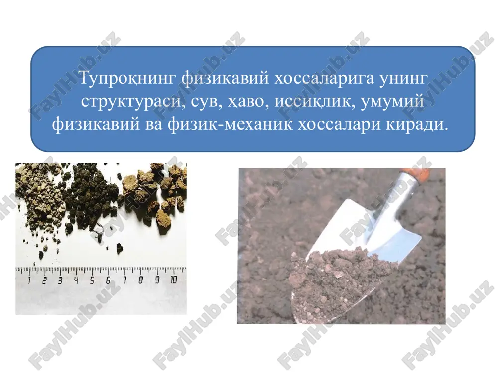 . o'rta osiyoning ayrim tuproqlarida azot miqdori quyidagicha: och tusli bo'z tuproq haydalma qatlamida - 0,04-0,07 qadimdan sug'oriladigan tipik bo'z tuproqlarda 0,08-0,12 qadimdan sug'oriladigan o'tloq tuproqlarda 0,10-0,15 to'q tusli bo'z tuproqlarda 0,20-0,50 foiz bo'ladi. fosfor. tuproqda fosfor juda kam bo'lib, tuproqdagi fosfor organik va mineral birikmalar holidadir. gumus tarkibida to'plangan organik fosfor barcha tuproq fosforining 14-44 foizini tashkil etadi. yer po'stidagi barcha fosforpipg 95 foizi magmatik jinslardagi apatitda saqlangan bo'ladi. o'rta osiyo tuproqlarda esa kalsiy fosfati ko'p bo'ladi. tuproqning reaksiya muhiti kam kislotali (rn -6,5) bo'lganda o'simliklarning fosfat ionlarini o'zlashtirishi uchun yaxshi sharoit yuzaga keladi. kvarsga boy qumli tuproq asosan kremnezyomdan tashkil topgan. kremnezyom temirsiz fotosintez susayib, xlorofill hosil boʼlmaydi. mis (si). tuproqdagi mis ona jins tarkibiga bog’liq. tuproq kislotaliligining ko'tarilishi bilan misning harakatchanligi ham oshadi. neytral va ishqorli tuproqlarda ko'pincha o'simliklar uchun mis yetarli bo'lmaydi. oqsillar sintezi pasayadi va hosili ancha kamayadi vor (v). bor elementi o'simliklardagi uglevodlar almashinuvida …