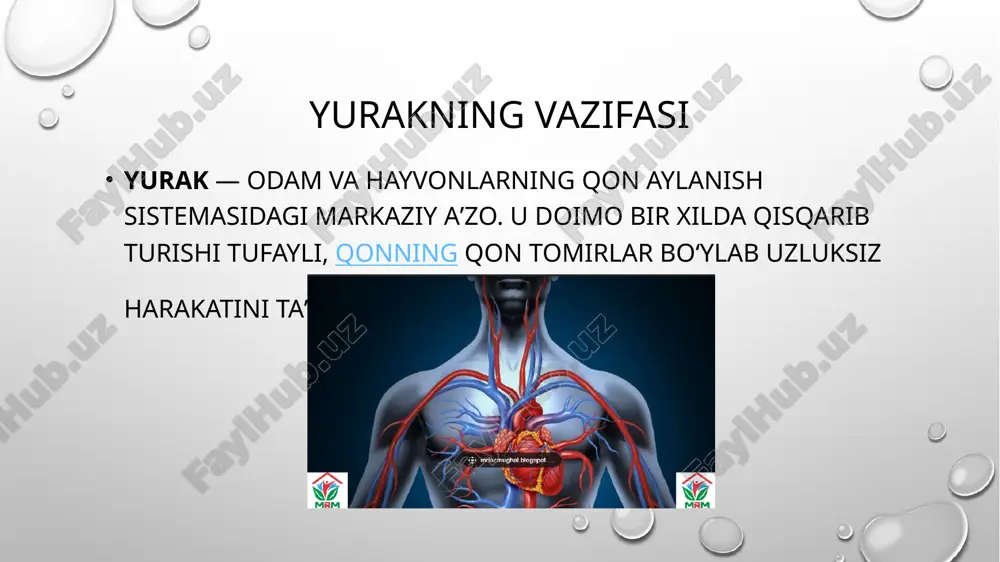 larnikiga nisbatan boʻlmachalar qisqarishi tezroq tugallanadi. yurakning qisqarish va boʻshashish davri yurak siklini tashkil etadi. bu sikl boʻlmachalar sistolasi (0,1 sek), qorinchalar sistolasi (0,33-0,35 sek), diastola (qorinchalar va boʻlmachalar birgalikda boʻshashish fazasi) hamda pauza (0,4 sek) dan iborat. boʻlmachalar qisqarganda ulardagi qon bosimi (oʻng boʻlmachada simob ustuni hisobida 1-2 mm dan 6-9 mm gacha, chap boʻlmachada 8-9 mm gacha) koʻtariladi. natijada qon klapanlar orqali qorinchaga oʻtadi. yurak kasalliklari yurak ishemik kasalligi aorta stenozi yurak yetishmovchiligi miokard infarkti perikardit rejaga image2.png image3.png image4.png image1.png /docprops/thumbnail.jpeg