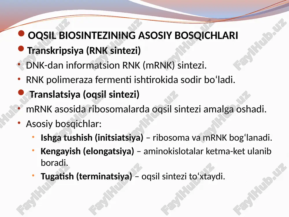 oqsil biosintezi - Page 3