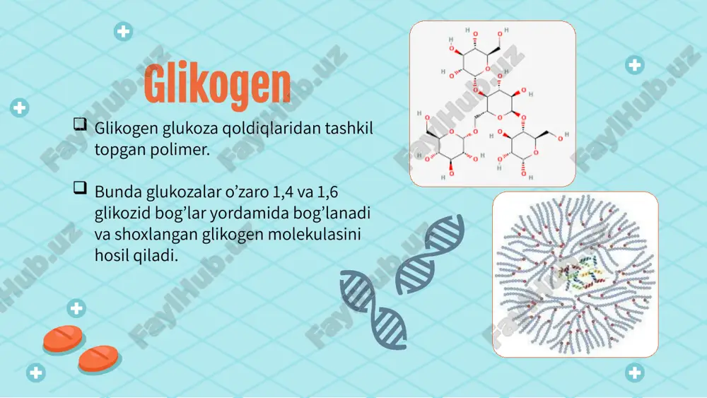 avishda qisqaradi - braxidaktiliya beshinchi barmoqlar esa yon va medial kavishli - klinodaktiliya andersen kasalligi andersen kasalligi alomatlari glikogenoz v tip mak-ardi kasalligi glikogen-fosforilaza fermenti faollogining pasayishi mak-ardi kasalligi qondagi kreatin kinaz darajasining oshishi bemorlarda reflekslarning buzilishi ham mumkin. oyoq mushaklaridagi spazmlar yurish paytida kuchayadigan oyoq og'rig'i oyoqlarda kuchli zaiflik tufayli to'satdan yiqilib tushish oyoq mushaklaridagi kramplarni kuchaytirish kardiopalmus. bemorlarning taxminan 20 foizida uchraydigan zaiflik proksimal mushaklarga ko'proq ta'sir qiladi va 40 yoshdan oshgan odamlarda tez-tez uchraydi. mak-ardi kasalligi glikogenoz vi tip xers kasalligi fosforilaza fermenti faollogining pasayishi xers kasalligi gepatotsitlarning glikogen infiltratsiyasi natijasida jigarning sezilarli darajada kengayishi o'sishning kechikishi qo'g'irchoqqa o'xshash yuz yengil gipoglikemik holatlar eritrotsitlarda glikogen miqdori ortishi gepatomegaliya kardiomegaliya va yurak etishmovchiligining erta rivojlanishi bilan tavsiflanadi glikogenoz vii tip tomson kasalligi tarui kasalligi u fruktoza-6-fosfat, glyukoza-6-fosfat va glyukozaning mushaklarda to'planishi bilan tavsiflanadi, chunki fosfoglyukomutaza fermenti yetishmovchiligi mavjud. klinik va morfologik o'zgarishlar v tipdagi mushak glikogenoziga mos keladi. …