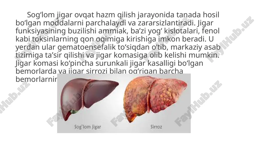 mbin indeksi / inr • ahamiyati: jigar tomonidan ishlab chiqariladigan qon ivish omillari miqdori kamayadi. • ko‘rsatkich: jigar yetishmovchiligining og‘irlik darajasi haqida ma’lumot beradi. 5. albumin • ahamiyati: jigar sintez funksiyasini ko‘rsatadi. • past bo‘lishi: gipoalbuminemiya – jigar sintez faoliyatining pasayganidan dalolat. 6. glyukoza (qand) • ahamiyati: jigar glyukozani saqlash va sintez qilishda ishtirok etadi. • past bo‘lishi: gipopglyukemiya – jigar funksiyasining buzilishi bilan bog‘liq. 7. laktat va ph (metabolik asidoz) • ahamiyati: jigar etishmovchiligi fonida metabolik atsidoz rivojlanishi mumkin. 8. elektrolitlar (na⁺, k⁺, cl⁻) • ahamiyati: jigar yetishmovchiligi suyuqlik va elektrolit muvozanatini buzadi. foydalanilgan adabiyotlar: 1. ataev x.a., nurmatov n.n. “anatomiya cheloveka”, toshkent, 2020. 2. rahimov j.r., abdulaeva d.sh. “gistologiya. oddiy va maxsus kurs”, toshkent, 2019. 3. mirraximov a. “vnutrennie bolezni”, toshkent, 2018. 4. nazarova sh.r. “patologicheskaya anatomiya”, toshkent, 2021. 5. sattarov s.h., normurodova d.t. “gastroenterologiya asoslari”, toshkent tibbiyot akademiyasi, 2022. 6. tortora g.j., derrickson b. “introduction to the …