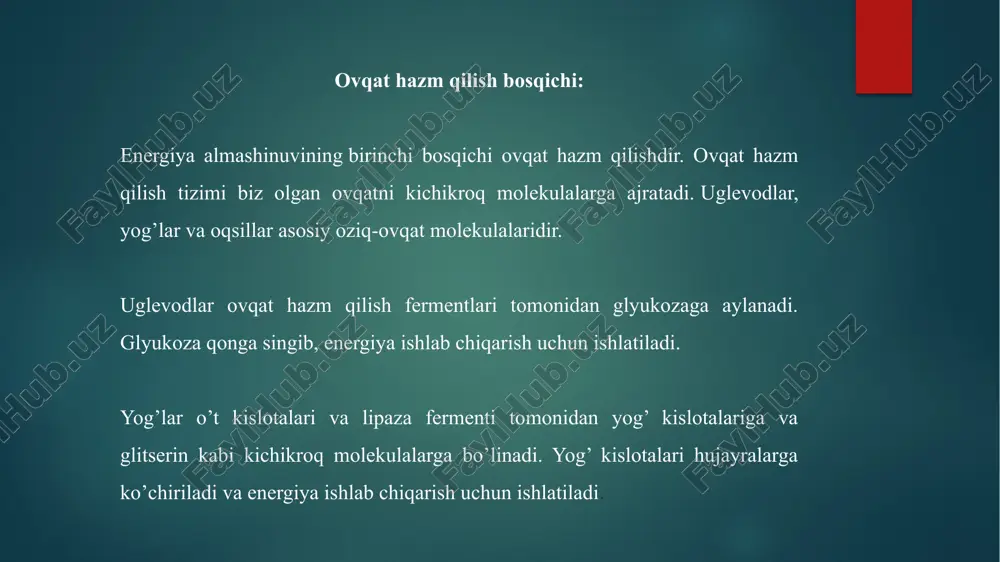 uchun yogʻ kislotasiga qoʻshiladi. u respirator etc orqali qaytaruvchi ekvivalentlarni ubixinonga ketma-ket oʻtkazish orqali degidrogenlanadi. ikkinchi bosqichda c=c qoʻsh bogʻida gidratsiya sodir boʻladi va undan keyin uchinchi bosqichda hosil boʻlgan gidroksil guruhining oksidlanishi sodir boʻladi. ushbu reaksiya davomida nad qayta tiklanadi. nihoyat, toʻrtinchi bosqichda hosil boʻlgan β-keto kislota koenzim a ishtirokida β-ketotiolaza taʼsirida uglerod zanjiri 2 atomga qisqa boʻlgan atsetil-koa va yangi atsil-koa ga boʻlinadi. β-oksidlanish sikli barcha yogʻ kislotalari atsetil-koa ga aylanmaguncha takrorlanadi. yog’lar beta-oksidlanish deb ataladigan jarayon orqali mitoxondriyadagi yog’ kislotalarining parchalanishi orqali energiya beradi. beta-oksidlanish — bu yog’ kislotalarining kichikroq bo’laklarga bo’linishi va ularni energiya ishlab chiqarish uchun ishlatishdir. oqsillar deaminatsiya deb ataladigan jarayon orqali aminokislotalarning parchalanishi orqali energiya beradi. aminokislotalar energiya ishlab chiqarish uchun ishlatilishi mumkin bo’lgan molekulalarga aylanadi. trikarboksilik kislota sikli (krebs sikli atsetil-koa, sitrat sintaza fermenti taʼsirida, atsetil guruhini oksaloatsetatga oʻtkazib, limon kislotasini hosil qiladi va u trikarboksilik kislota sikli (krebs sikli) ga kiradi. …