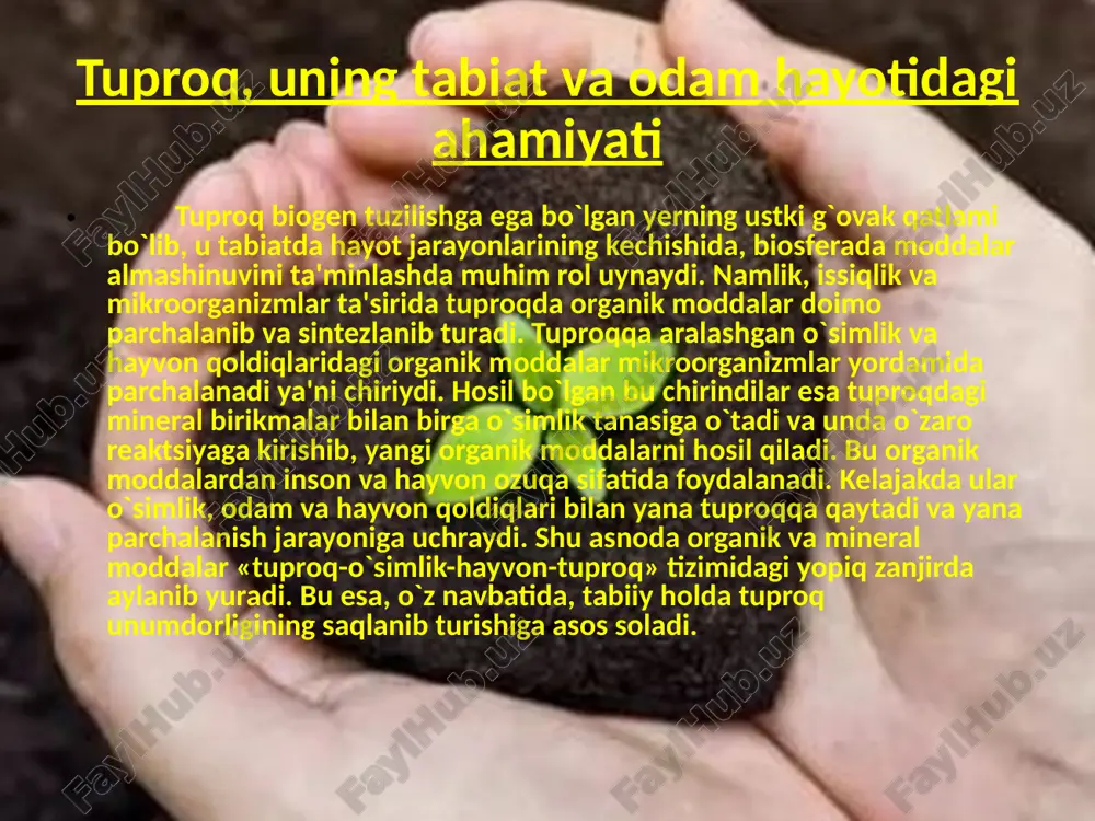 defektologiyalogopediya1kurs305-guruxtalabasi - Page 3