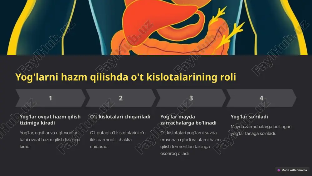 o't kislotalari - Page 3