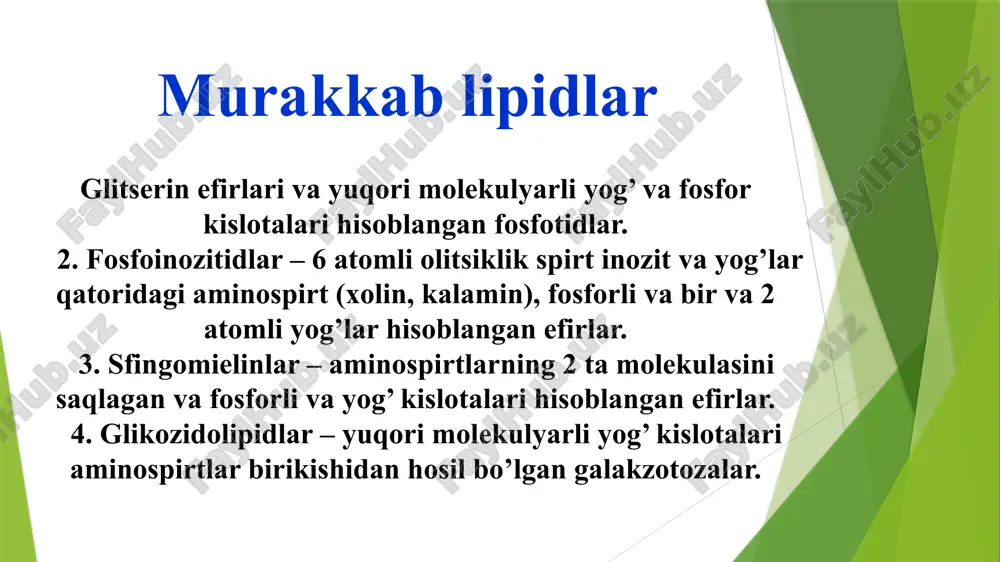 ti susaygan davrda koʻproq kuzatiladi. image1.jpeg image2.jpeg image3.jpeg image4.jpeg /docprops/thumbnail.jpeg