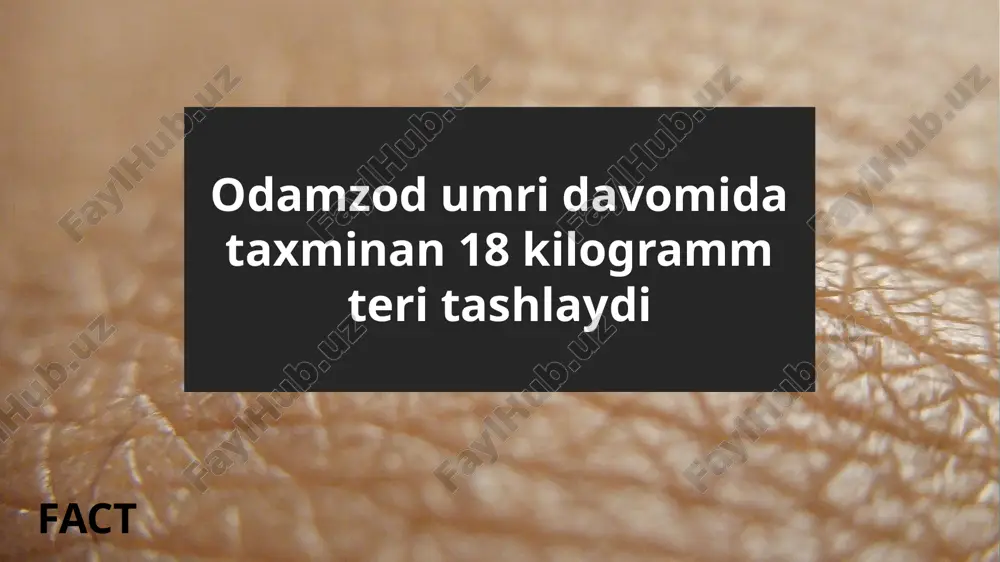 shqi (nog’ora pardaga qaragan) devori. nog’ora bo’shlig’ida uchta eshitish suyakchalari joylashgan. uning birinchisi bolg’acha bolib, uning dastasi nog’ora pardaga tegib turadi o`rta quloq ichki quloq ichki quloq yoki labirint, ikki qismdan:tashqi tomon suyak qismi va uning ichkarisida esa parda qismidan tuzilgan bo’lib, chakka suyagining piramida qismi ichida joylashgan. labirint yarim xalqasimon uchta kanaldan dahlizi va chig’anoqdan iborat. suyak labirint dahlizi 2 – 3 tomchi suv sig’dira oladigan bo’shliq. suyak yarim halqasimon kanallar uchta (yuqori, orqa va lateral) yarim halqasimon iborat bo’lib, dahlizning orqa tomonida uchta tekislikda joylashgan. chig’anoq dahlizning pastidagi aylanish o’qi atrofdagi spiralga o’xshab 2,5 marta yalanishidan hosil bo’ladi. ko`z tuzilishi ko’rish a’zosi: ko’z soqqasidan, qovoqlardan , muskullardan, ko’z yosh apparatidan iboratdir. ko’z soqqasi ko’z kosasiga joylashgan bo’lib, uch qavat parda va ularning ichida joylashgan ko’zning nur sindiruvchi apparatidan iborat. ko’zning fibroz qavati, ko’zning tomirli qavati, to’r parda . ko’zning fibroz qavati ko`zning tashqi — fibroz pardasi ikkiga boʻlinadi: …