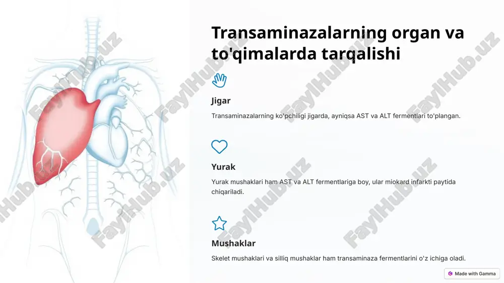 transaminazalarning klinik ahamiyati - Page 3