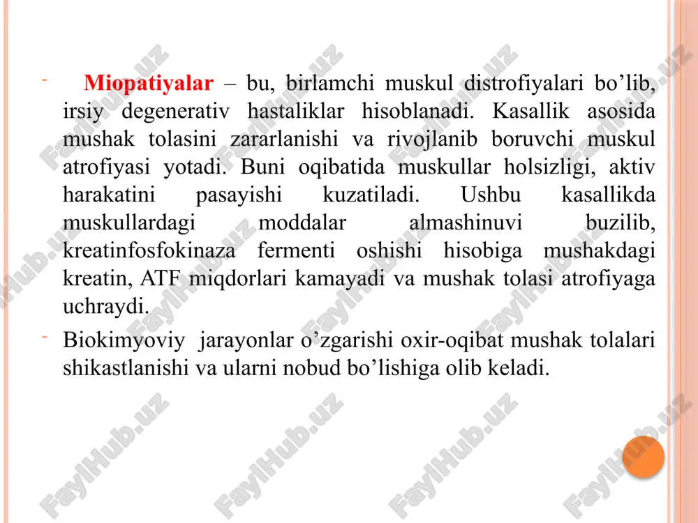 kasallanadilar, sog’lom onadan farzandga o’tadi. dyushenn-bekker miodistrofiyasi . bu ko'p sonli irsiy asab-mushak kasalliklari ichida ko'p uchrovchi shakllaridan biridir. mushak distrofiyalari periferik motoneyronlarning birlamchi patologiyasisiz ko'ndalang - targ'il mushaklardagi avj olib boruvchi degenerativ o'zgarishlar bilan tavsiflanadi. dyushenn - bekker miodistrofiyasi dsitrofin oqsili sintezi uchun javobgar bo'lgan gen mutatsiyasi bilan bog'liq. bu oqsil membrana butunligini saqlagan holda sarkolemma sohasida ko'p miqdorda joylashadi. sarkolemmadagi struktur o'zgarishlar sitoplazmatik komponentlarni degeneratsiyasiga olib kelib, mushak tolalari ichiga ko'p miqdorda k+ kirishiga sabab bo'ladi va natijada miofibrillalar nobud bo'ladi. dyushenn miodistrofiyasi tirik tug'ilgan o'g'il bolalarda 3:10000 nisbatda uchraydi. irsiy jihatdan u x-bog'langan retsessiv letal buzilishga mansub. kasallik erta boshlanadi. kasallikning ilk belgilari 2 yoshgacha bo'lgan davrda ko'zga tashlanadi: bolalar kech yuradi, yugurish va sakrashga qodir bo'lmaydi. simptomlari 2-3 yoshlarga kelib yaqqolroq namoyon bo'la boshlaydi. bu yurishning o'zgarishi "o'rdak yurish", boldir mushaklar psevdogipertrofiyasi kuzatiladi. mushaklar atrofiyasi jarayoni ko'tarilib boruvchi tarzda kechadi: son mushaklari→ bel kamari → yelka …