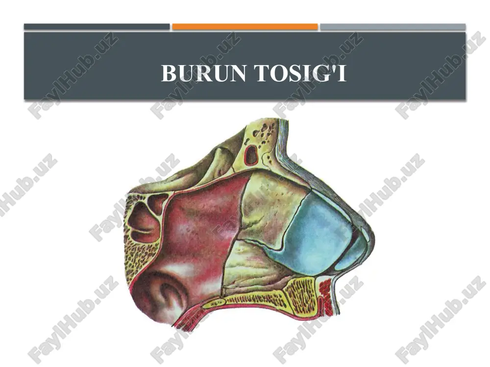 davolash tadbirlari zaharli moddani neytrallash, shokga qarshi va zaharlanishga qarshi chora-tadbirlar, nafas buzilishlari bilan kurashish, gemostatik dori vositalari va antibiotikoterapiyadan iborat. hiqildoq jarohatlari ta’sir etuvchiuvchi omilga qo’ra hiqildoq va traxeyaning mexanik, termik, nurli va kimyoviy travmalar tafovut qilinadi. hiqildoqning mexanik travmalari tinchlik davrida nisbatan kam uchraydi. ochiq va yopiq mexanik travmalar tafovut qilinadi. hiqildoq va traxeyaning yopiq travmalari ancha ko‘p uchraydi, ular zarb tegganda, yiqilganda, ko‘cha-transport xodisalarida mexanik ta’sir natijasida paydo bo‘ladi. hiqildoq va traxeyaning ochiq travmalari,yoki jarohatlari odatda aralash xarakterga ega: bunda nafaqat hiqildoq, balki bo‘yin, yuz va ko‘krak qafasi a’zolari ham jarohatlanadi. kesilgan, sanchilgan va o‘q-yoy jarohatlar tafovut qilinadi. kesilgan jarohatlar ko‘pincha pichiq yoki lezviya yordamida o‘ldirish yoki o‘z joniga suiqasd qilish maqsadida yetkaziladi. davolash davolashda jarrohlik usuli qo‘llanadi, bunda qon ketishini to‘xtatish, adekvat nafasni ta’minlash, yo‘qotilgan qon o‘rnini bosish va jarohatga birlamchi ishlov berish tadbirlari o‘tkaziladi. nafas faoliyatiga alohida e’tibor berish lozim. odatda traxeostomiya jarrohlik amali bajariladi. …