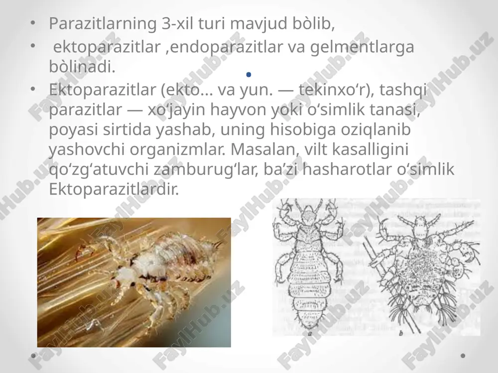 di. kasallik sogʻlom odamga chivin chaqqanda, odam organizmiga uning soʻlagi orqali qoʻzgʻatuvchilar tushganda yuqadi. . qon oqimi bilan ular jigarga tushadi, bu yerda rivojlanishning birinchi (toʻqima) sikli roʻy beradi, soʻngra yana qonga tushadi va erit-rotsitlar ichiga kirib oladi, bu yerda ikkinchi (eritrotsitar) rivojlanish sikli oʻtib, eritrotsitlarning parchalanishi va qonga koʻp miqsorda qoʻzgʻatuvchilar chiqishi bilan tugallanadi, bu odamni isitma tutishi bilan oʻtadi.bezgak oʻtkir yuqumli kasallik boʻlib, anofeles (bezgak chivinlari) chivini orqali yuqishi, qaltirash, tana harorati koʻtarilishi, taloq va jigar kattalashishi hamda kamqonlik bilan xarakterlanadi. bezgak ilmiy tilda malaria deb ataladi va bu malariae soʻzidan olingan boʻlib, mal — badboʻy, ariae — hid yoki havo degan maʼnoni anglatadi. uni juda kichik parazit-plazmodiylar qoʻzgʻatadi. . bezgak ilmiy tilda malaria deb ataladi va bu malariae soʻzidan olingan boʻlib, mal — badboʻy, ariae — hid yoki havo degan maʼnoni anglatadi. uni juda kichik parazit-plazmodiylar qoʻzgʻatadi. ularni faqat mikroskop ostida koʻrishqoʻzgʻatuvchi odam organizmida 10—14 kungacha (baʼzan, …