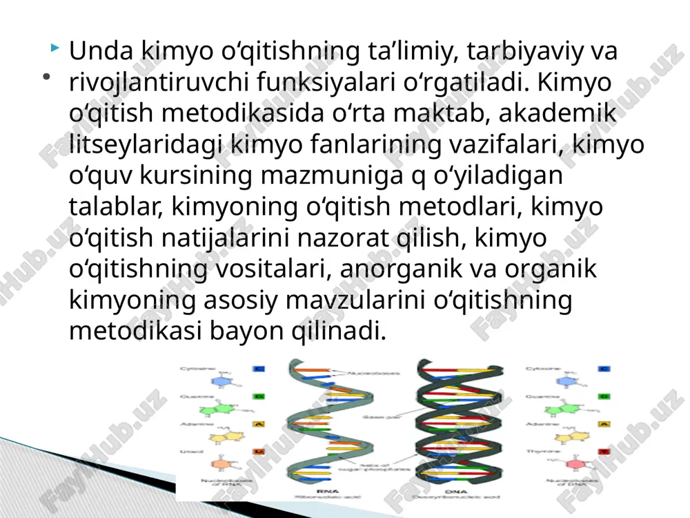 - gidrolitik fermentlar ta’siridan himoya qiladi. dnk va rnk makromolekulasining fazoviy tuzilishida nukleotidlarning ketma-ket joylashishi 1-lamchi strukturani hosil qiladi. ularning spiral hosil qilishi 2-lamchi va 3-lamchi strukturasiga bog’liq . dnk tarkibidagi nukleotidlarning o’zaro munosabati ma’lum qonuniyatlarga bo’ysunadi. bu qonuniyatlarni dastlab amerikalik olim chargaff aniqlagan bolib, chargaff qoidasi deb ataladi. bu qoida quyidagicha: adeninning molyar miqdori timinning molyar miqdoriga yoki ularning nisbati 1 ga teng: a = t yoki a/t = 1 2. dnk tarkibidagi guaninning molyar miqdori sitozinning molyar miqdoriga yoki ularning nisbati 1 ga teng: g=s yoki g/s = 1 3. dnkdagi purin asoslarining yig’indisi pirimidin asoslari yig’indisiga teng: a+g= t+s yoki a+g/t+s=1 4. purin va pirimidin asoslarining oltinchi uglerod atomidagi amin va keto gruppalari bir-biriga teng: g+s = a+s yoki g+t/a+s = 1 . dnk tarkibidagi guanin va sitozinning molyar konsentratsiyasi yig’indisining adenin va timinning molyar konsentratsiyasi yig’indisiga nisbatan g+s/ a+t o’zgaruvchan bo’ladi. hayvonlar, o’simliklar va mikroorganizmlar dnk …