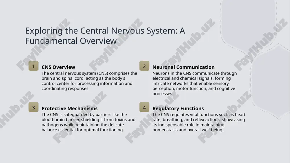 emporal lobe processes auditory information, memory formation, and language comprehension, contributing significantly to cognitive abilities and sensory functions. 4 occipital lobe functionality the occipital lobe specializes in visual processing, interpreting visual stimuli and enabling us to perceive and understand the world through our sense of sight. the brain in action: functional areas revealed. explore the brain's functional areas, like the frontal lobe for decision-making, parietal lobe for sensory processing, and occipital lobe for vision. witness the brain in action as these regions collaborate seamlessly to regulate various functions and behaviors. photo by jiri plistil on unsplash unraveling complexity: neural pathways explored. 1 neural pathways overview - neural pathways are intricate networks of connections within the brain that transmit information between different regions, enabling communication and coordination of functions. 2 importance of neural pathways - understanding neural pathways is crucial as they underlie various cognitive processes, motor functions, and sensory perceptions, …