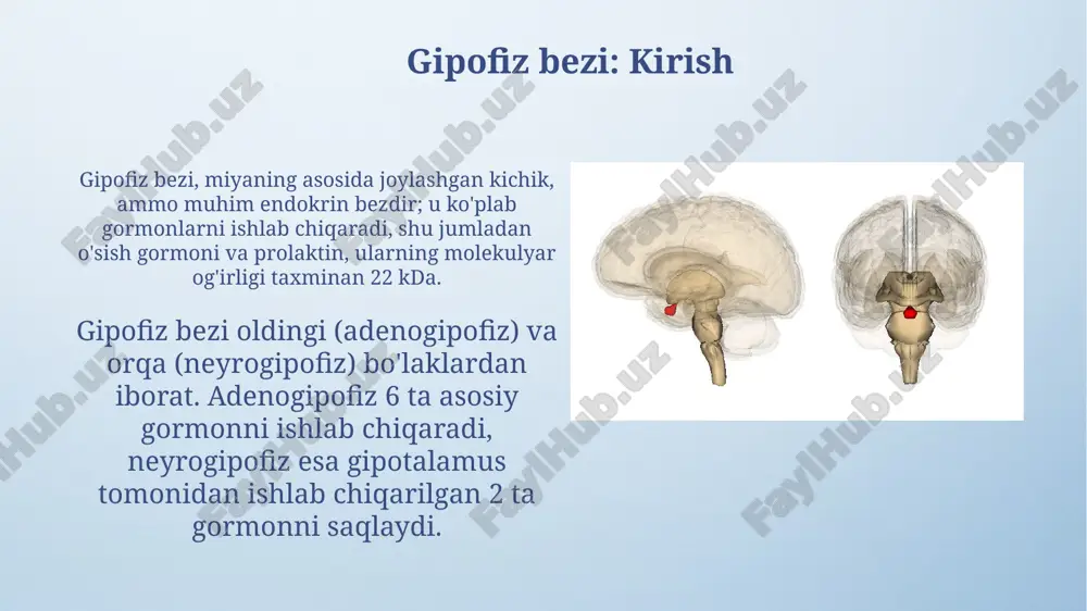 ishi, amenoreya kuzatiladi; o'sish gormoni defitsiti esa kattalarda charchoq va mushak massasining kamayishiga olib keladi. diabets insipidus: turlari, klinikasi va davolash strategiyalari turli sabablarga ko'ra adh (antidiuretik gormon) yetishmasligi tufayli, buyraklar 24 soat ichida 3-20 litrgacha suyuklikni qayta so'rmaydi, bu esa kuchli chanqashga olib keladi. markaziy diabet insipidusda desmopressin (ddavp) kabi sintetik adh analoglari qo'llaniladi, bu buyrak naychalarida suvning so'rilishini kuchaytiradi va poliuriyani kamaytiradi, doza bemorga moslashtiriladi. gipofiz o'smalarini davolash usullari: xirurgiya, radioterapiya va dori-darmonlar xirurgik yo'l bilan davolashda transsfenoidal jarrohlik keng qo'llaniladi, bunda o'simta burun bo'shlig'i orqali olib tashlanadi, bu esa 80-90% hollarda kichik o'smalarni samarali yo'q qiladi. radioterapiya, masalan, gamma pichoq nurlanishi, o'simta hujayralarini yo'q qilish uchun yuqori dozali nurlanishni aniq yo'naltiradi va 10 yillik nazorat darajasi 80-95% gacha bo'lishi mumkin. gipofiz kasalliklarining asoratlari va prognozi gipofiz adenomalarining asoratlari orasida ko'rish nervining siqilishi natijasida ko'rish maydonining buzilishi (bitemporal gemianopsiya) va 25% holatlarda ko'rlik kuzatilishi mumkin. akromegaliya erta davolashsiz …