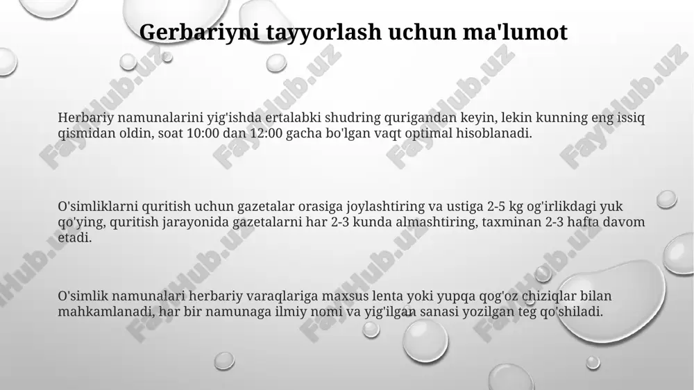 gerbariy tayyorlash va tayyorlash usullari - Page 3
