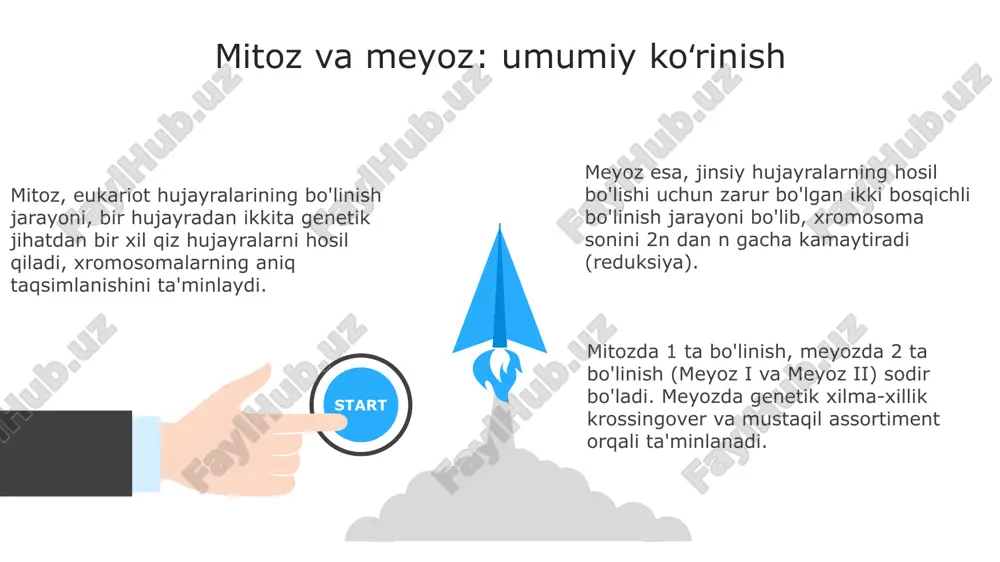 mitoz va meyoz - Page 3