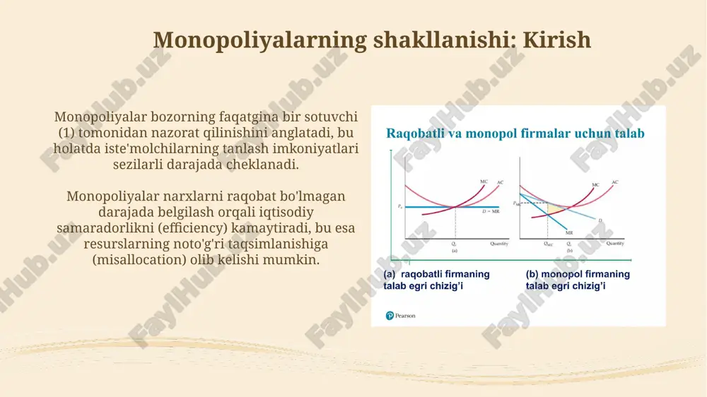 monopoliyalarning shakllanishi va raqobatning kamayishi - Page 3