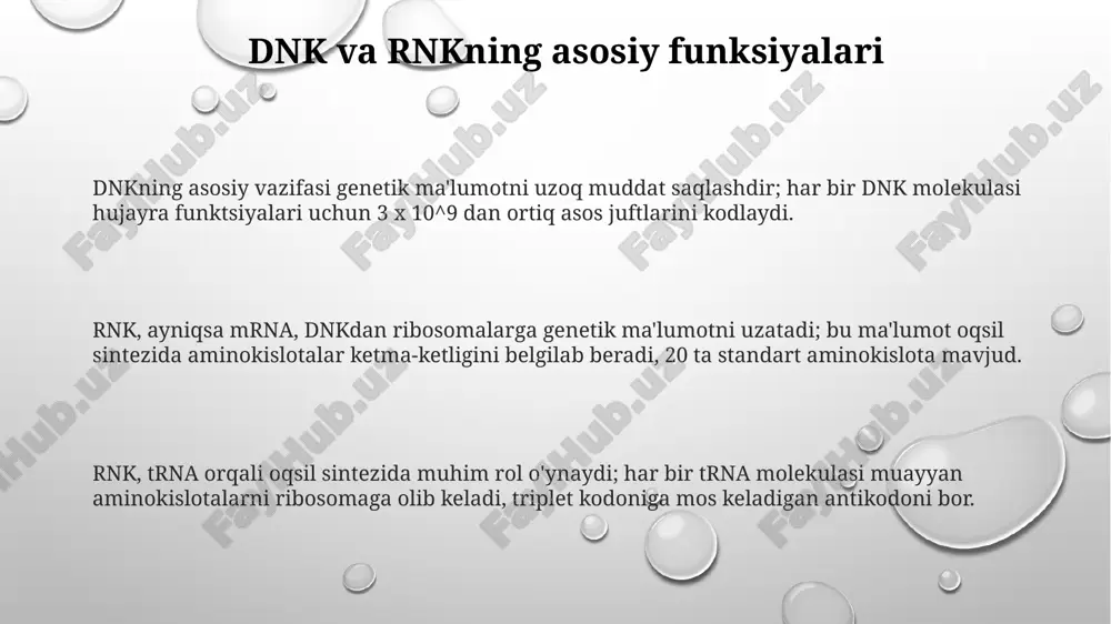 oqsil biosintezida dnk va rnkni roli - Page 3