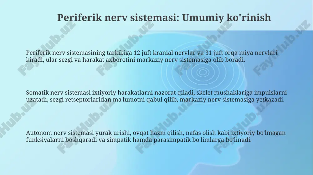periferik nerv tizimi haqida umumiy ma'lumot - Page 3