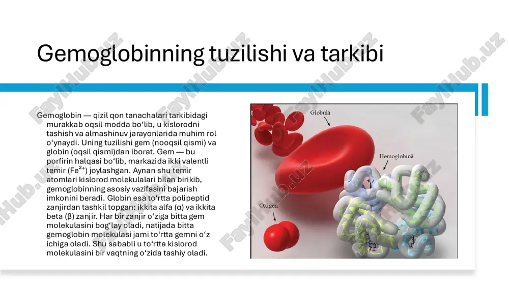 ri gemoglobinning turlari bir nechta bo‘lib, ularning har biri o‘ziga xos tuzilishga, kislorod bilan bog‘lanish kuchiga va fiziologik ahamiyatga ega. asosan uchta asosiy tur farqlanadi: fiziologik (normal), fetal (chaqaloqlarda uchraydigan) va patologik (kasallik holatlarida paydo bo‘ladigan) gemoglobinlar. sog‘lom kattalarda eng ko‘p uchraydigani — hba (adult gemoglobin) bo‘lib, u gemoglobinning asosiy shaklidir. uning tarkibi ikkita alfa (α) va ikkita beta (β) zanjirdan iborat. hba tanadagi umumiy gemoglobinning 95% dan ortig‘ini tashkil qiladi. yangi tug‘ilgan chaqaloqlarda esa hbf (fetal gemoglobin) mavjud bo‘ladi. bu gemoglobin turi kattalarnikiga qaraganda kislorodga kuchliroq bog‘lanish xususiyatiga ega. shu sababli chaqaloq ona qoni orqali osonroq kislorod oladi. bola ulg‘aygani sari, hbf miqdori kamayib, o‘rnini hba egallaydi. gemoglobinning turlari va ularning farqlari shuningdek, kam miqdorda hba₂ deb ataluvchi shakl ham mavjud bo‘lib, uning tarkibi ikkita alfa (α) va ikkita delta (δ) zanjirdan tashkil topgan. u sog‘lom odamlarda gemoglobinning 2–3% qismini tashkil etadi. patologik gemoglobinlar esa genetik o‘zgarishlar natijasida paydo …