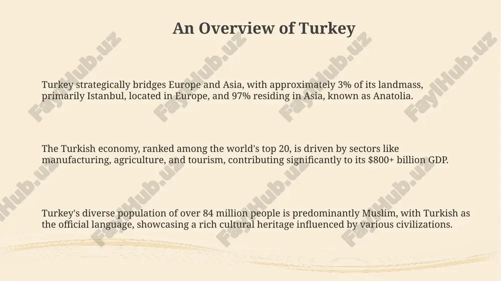 turkey - Page 3